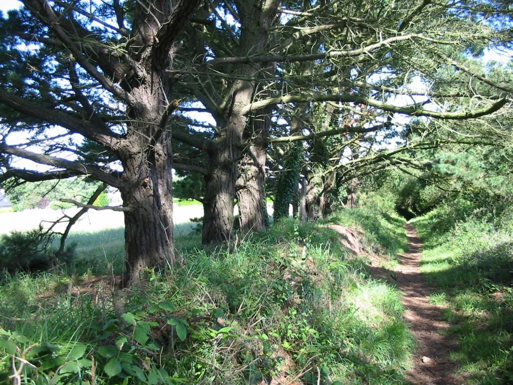 En Bretagne, Villa De 2 A 8 Pers , Meuble De Tourisme 3 Etoiles Nichee Dans Un Ecrin De Verdure A 2500M De La Plage Ploumilliau Zewnętrze zdjęcie